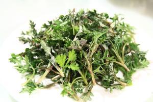 CH  Ұ⹰-G
 CH Organic Artemisia Vulgaris Extract-G