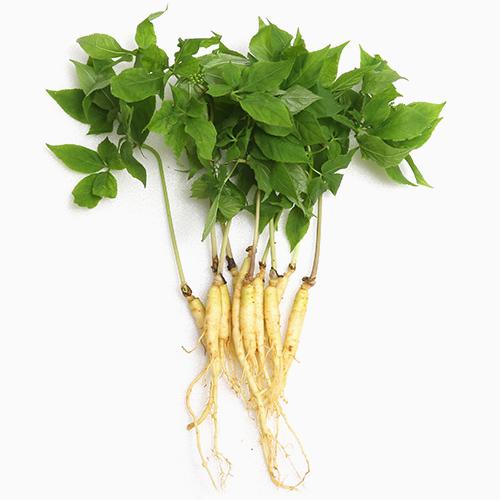 CH  λ⹰
 CH Organic Panax Ginseng Extract