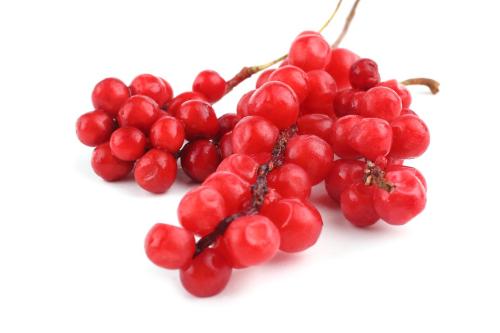 CH õ ⹰
 CH Natural Schisandra Chinensis Fruit Extract